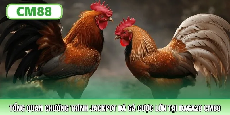 Tổng quan chương trình Jackpot đá gà cược lớn tại DAGA28 CM88